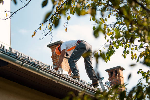 Residential Roof Replacement in Lake Cassidy, WA