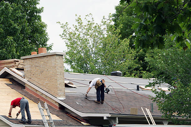 Best Gutter Installation and Roofing  in Lake Cassidy, WA