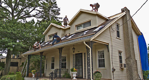 Best Roof Maintenance Services  in Lake Cassidy, WA