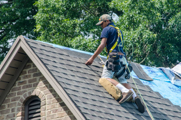 Quick and Trustworthy Emergency Roof Repair Services in Lake Cassidy, WA